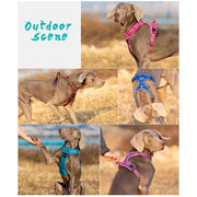 Truelove Front Nylon Dog Harness No Pull Vest Soft Adjustable Reflective Safety Harness