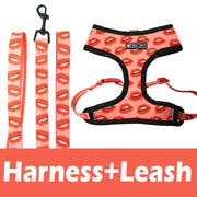 Harness No Pull, Vest Harness and Breathable for Small Medium Dogs