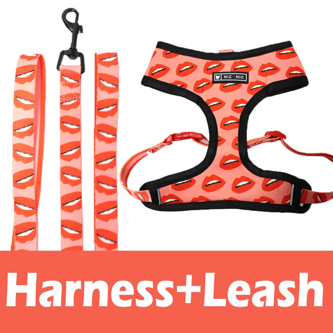 Harness No Pull, Vest Harness and Breathable for Small Medium Dogs