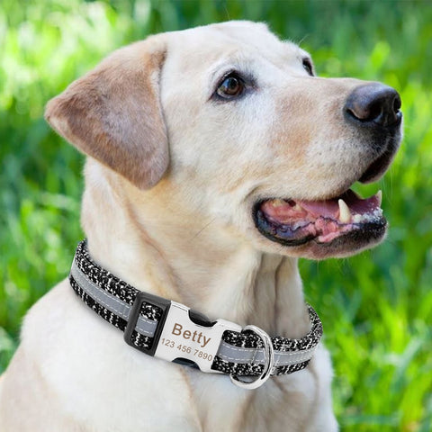 Dog Collar Personalized Reflective, Custom Engraved Name Tag Collar Anti-lost Nylon