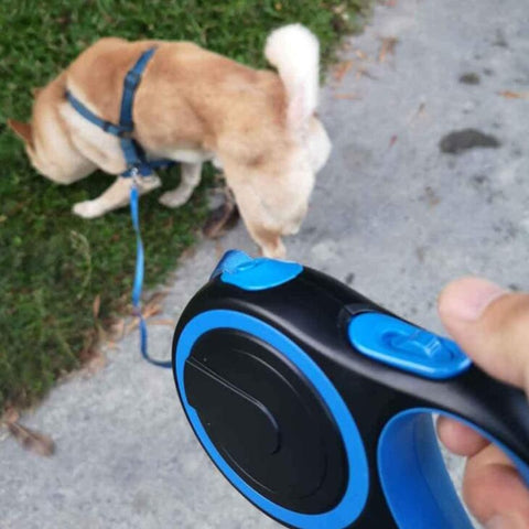 Automatic Retractable, Extendable Dog Walking Leash and Cat Leash