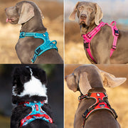 Truelove Front Nylon Dog Harness No Pull Vest Soft Adjustable Reflective Safety Harness for Dog Small Large Running Training