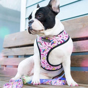 Harness No Pull, Vest Harness and Breathable for Small Medium Dogs