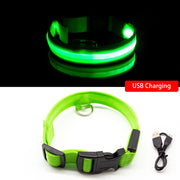 USB Charging/Battery replacement, Anti-Lost Led Collar For Dogs