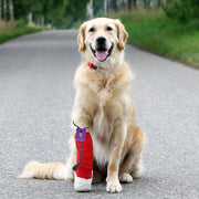 Pet Tourniquets Hemodialysis Animal Belt Emergency Blood Bandages