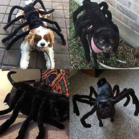 Halloween Costume for Dog Pet Clothes Puppy, Cat and Spider