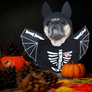 Funny Halloween Dog Cat Bat Clothes Pet Accessories