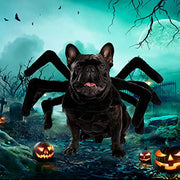 Halloween Costume for Dog Pet Clothes Puppy, Cat and Spider