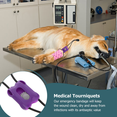 Pet Tourniquets Hemodialysis Animal Belt Emergency Blood Bandages