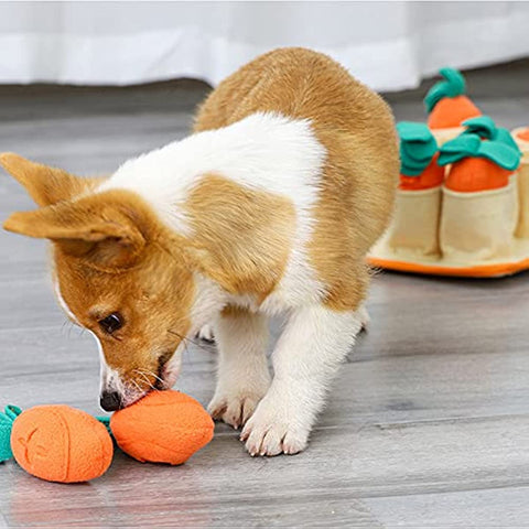 Dog Puzzle, Snuffle Mat, Squeaky Plush Dog Treat Toys with 8 Carrots