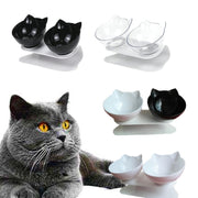 Non-slip Cat Bowls Double Pet Bowls With Raised Stand Pet Food Water